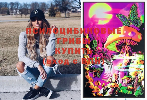 apvp Алексеевка