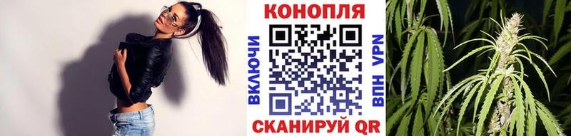 Шишки марихуана OG Kush Карпинск